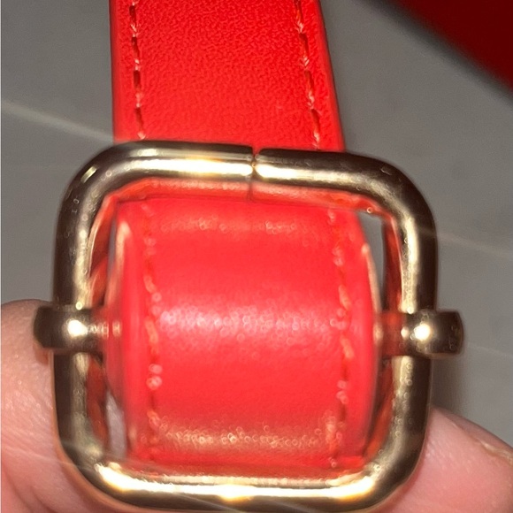 HBC STRIPES x Colour Me Courtney 2019 Convertible Belt-Bag | Crossbody ***RARE - Picture 11 of 14